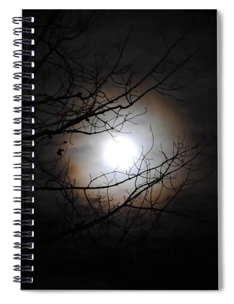 Moon Spiral Notebook featuring the photograph Beaver Moon by Vallee Johnson
