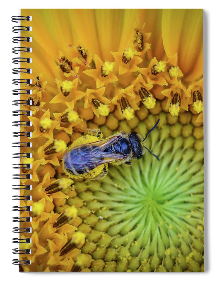 Bee Spiral Notebook featuring the photograph Bee on Sunflower by Michelle Wittensoldner