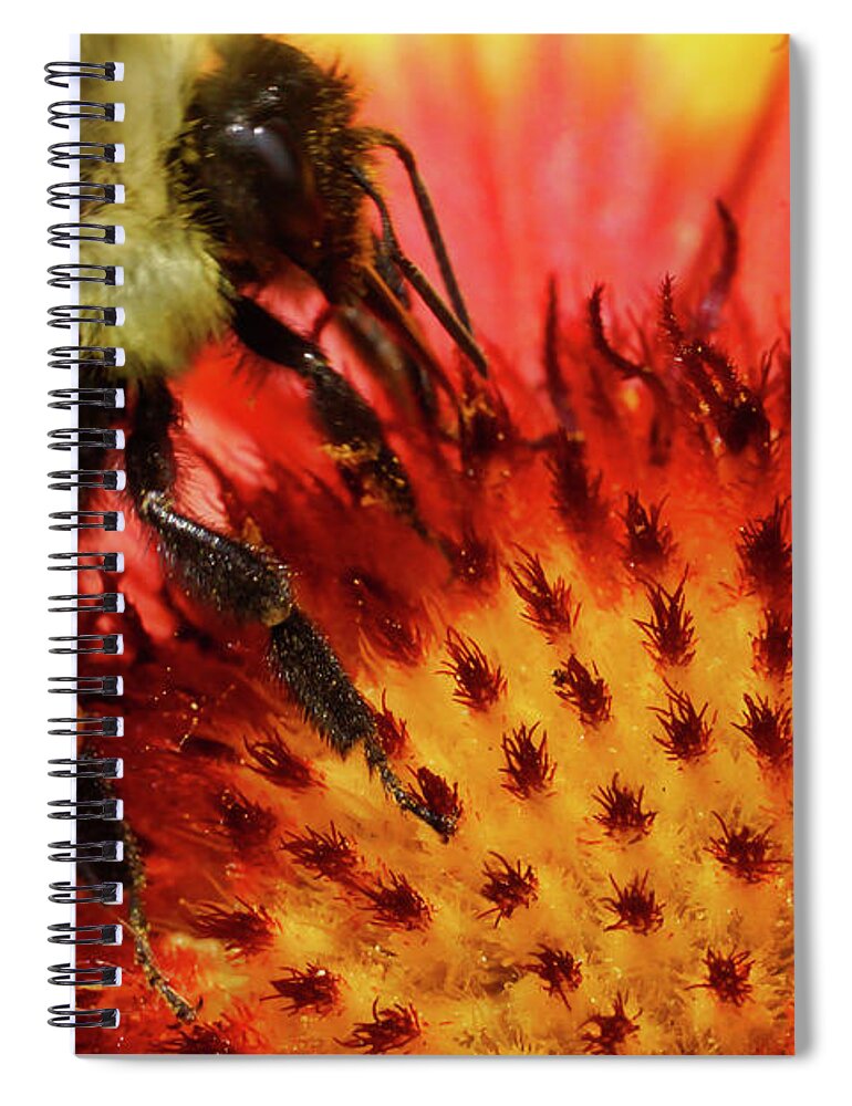 Bee Spiral Notebook featuring the photograph Bee Red Flower by Meta Gatschenberger