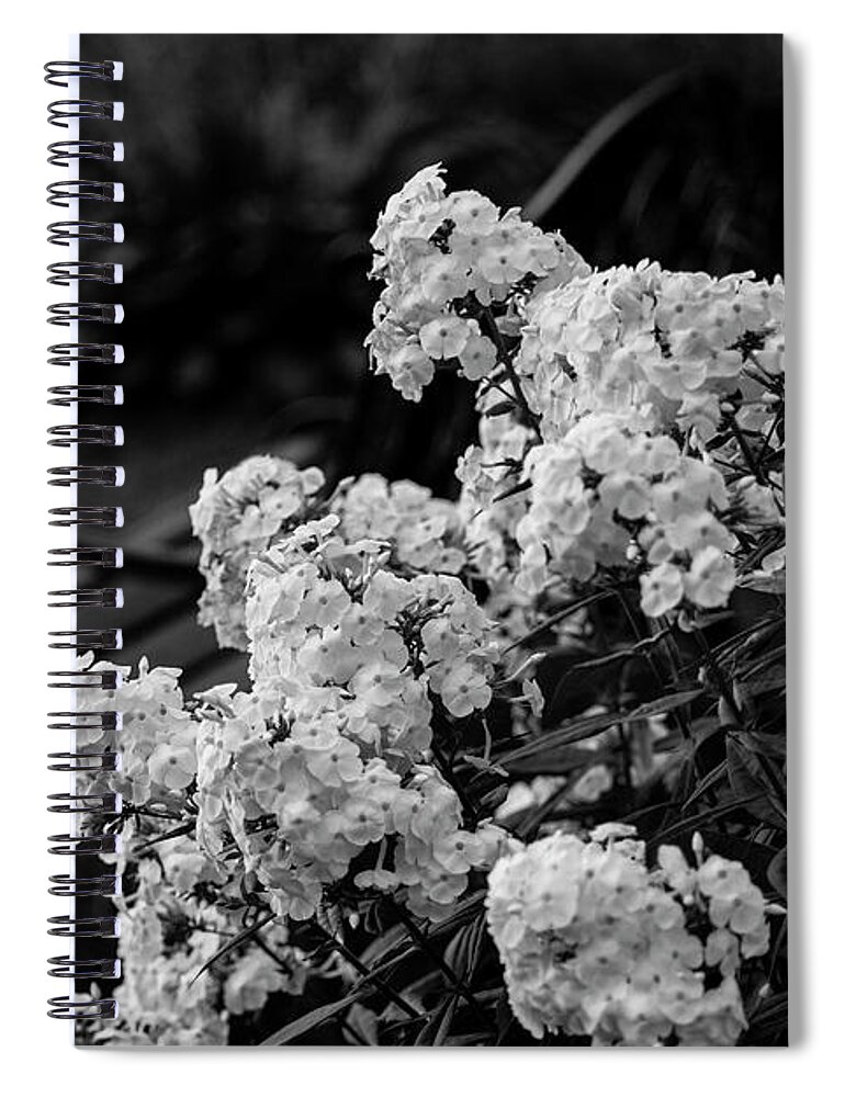 Maine Spiral Notebook featuring the photograph Bench and Phlox by Alana Ranney