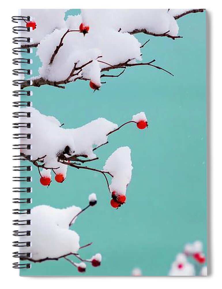 Turquoise Spiral Notebook featuring the photograph Berries and Cream by Terri Hart-Ellis