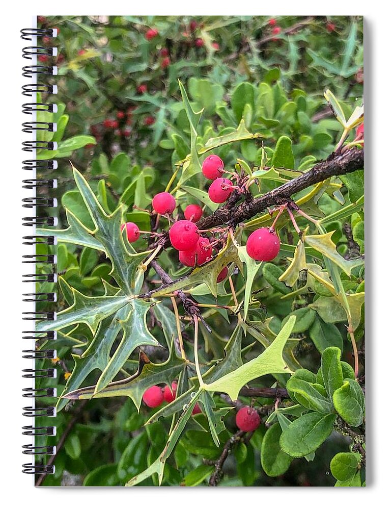Landscape Photography Spiral Notebook featuring the photograph Berries by Kelly Thackeray
