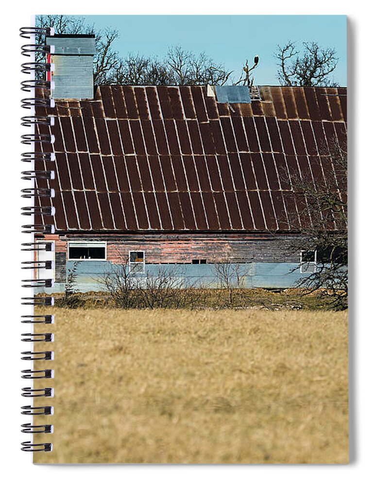 Barns Spiral Notebook featuring the photograph Big Barn Small Bald Eagle by Ed Peterson