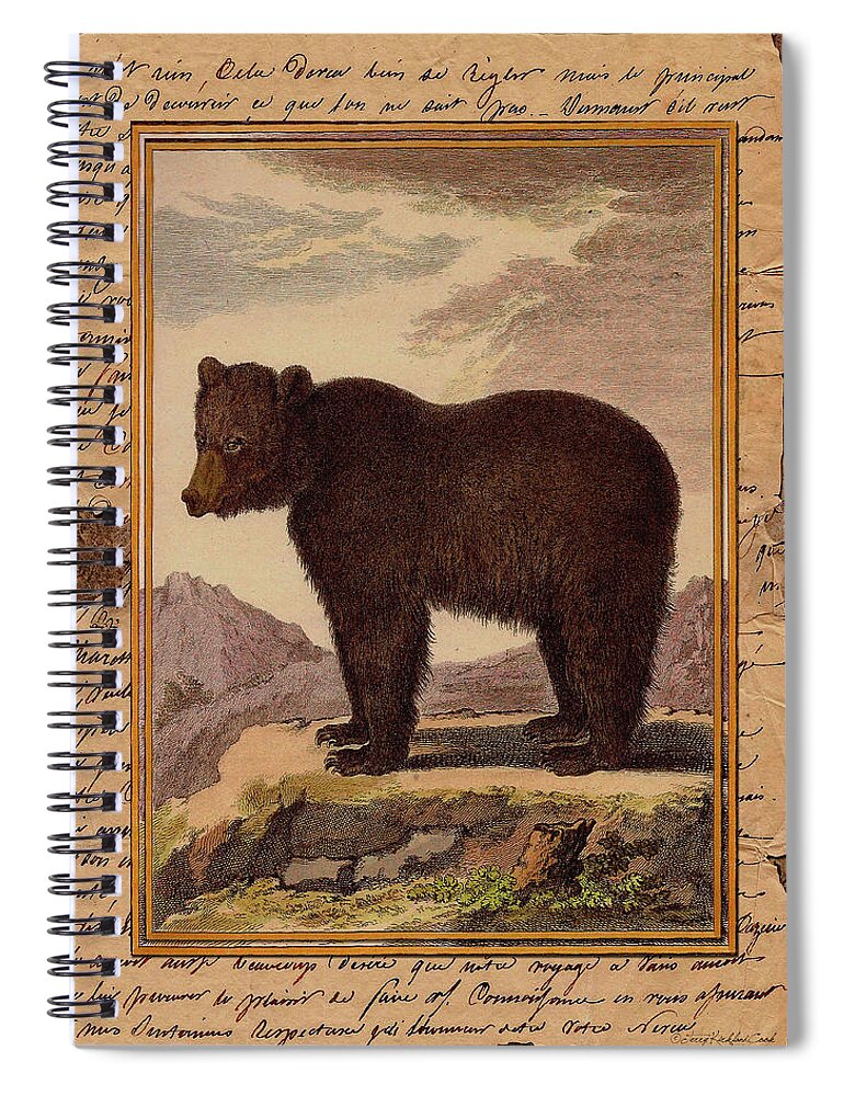 Paper Background Painted Spiral Notebook featuring the digital art Big Brown Bear by Terry Kirkland Cook