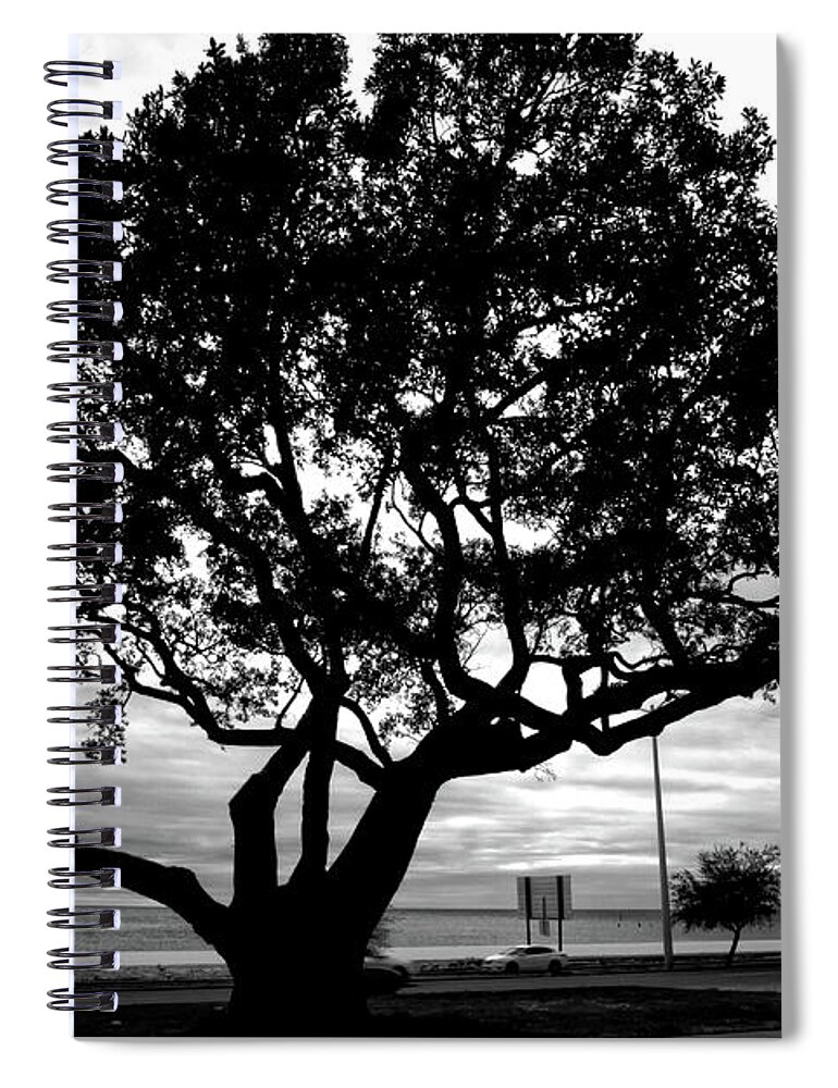Oak Spiral Notebook featuring the photograph Biloxi Oaks by George Taylor