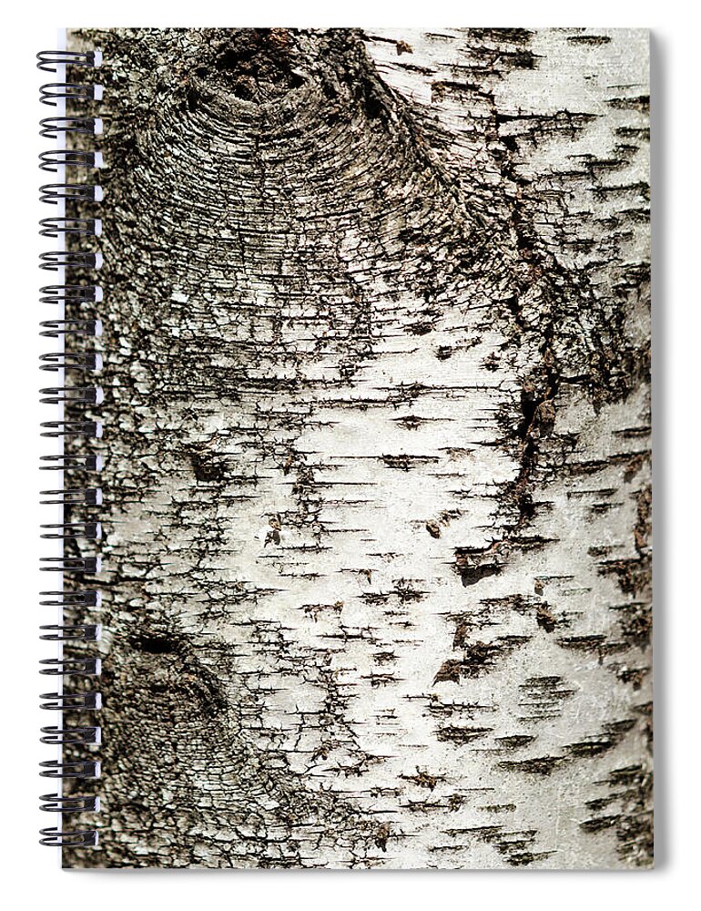 Birch Tree Spiral Notebook featuring the photograph Birch Tree Bark by Christina Rollo