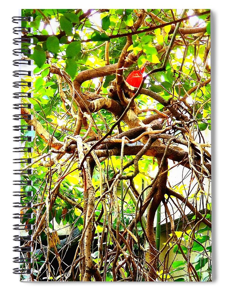 Bird Spiral Notebook featuring the photograph Bird in Paradise by Joe Roache