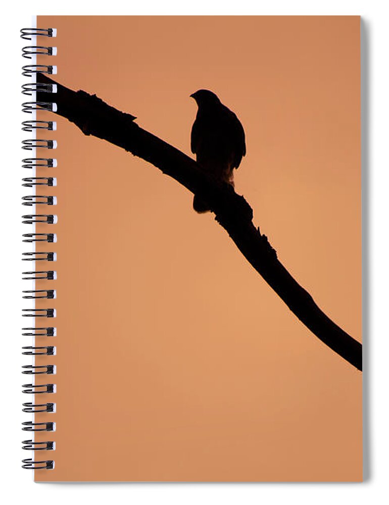 Bird Spiral Notebook featuring the digital art Bird on a Branch by Geoff Jewett