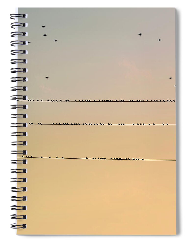 Animal Themes Spiral Notebook featuring the photograph Birds by Am2photo