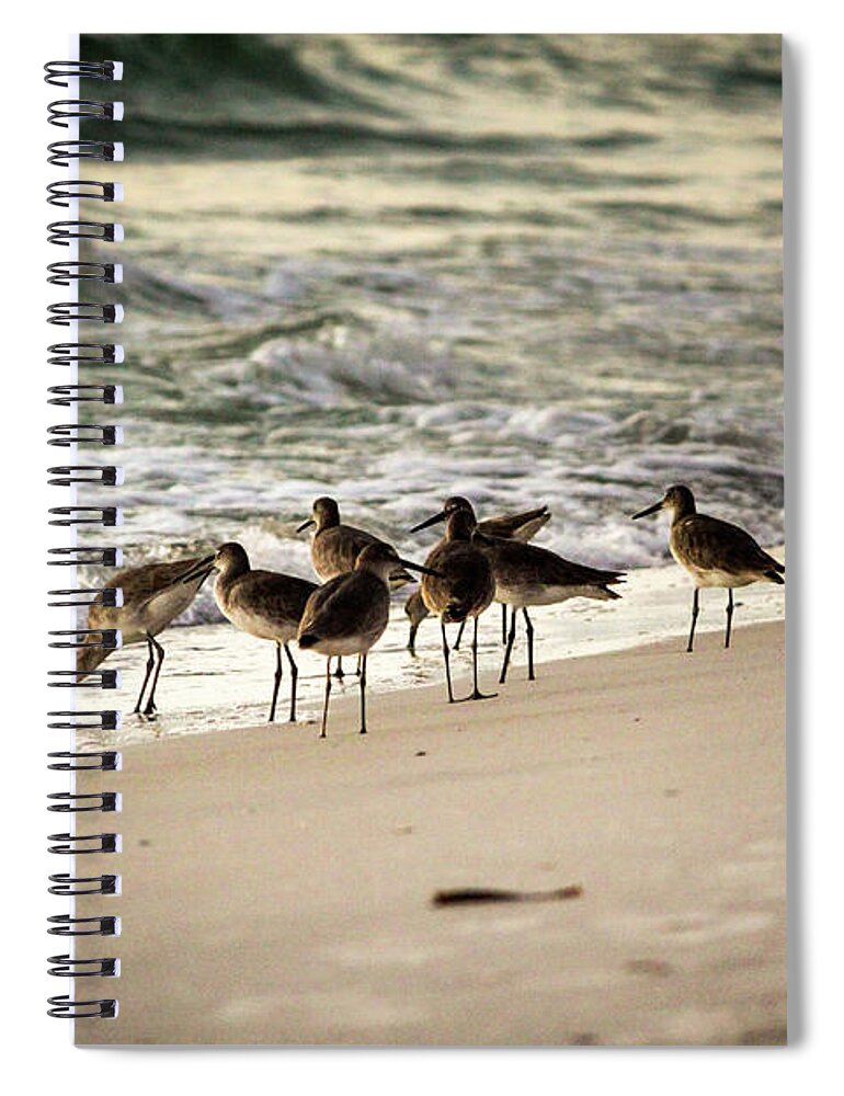 Florida Spiral Notebook featuring the photograph Birds on the Beach by Doug Camara