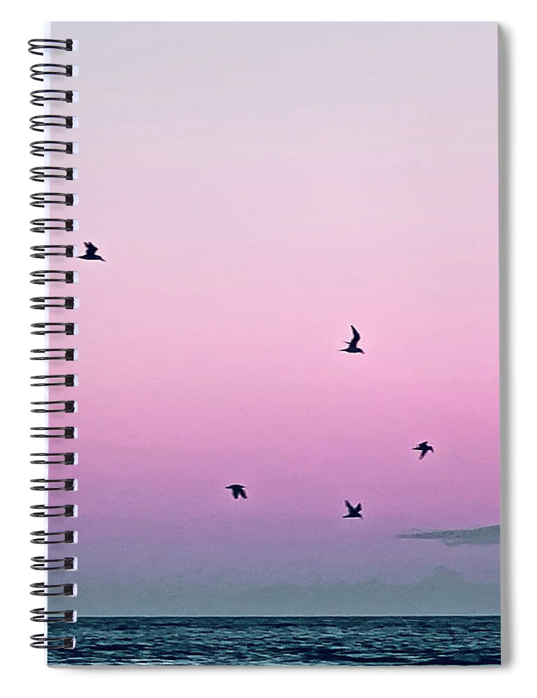 Birds Spiral Notebook featuring the photograph Captive Island Sunset Seabirds Circling by Shelly Tschupp