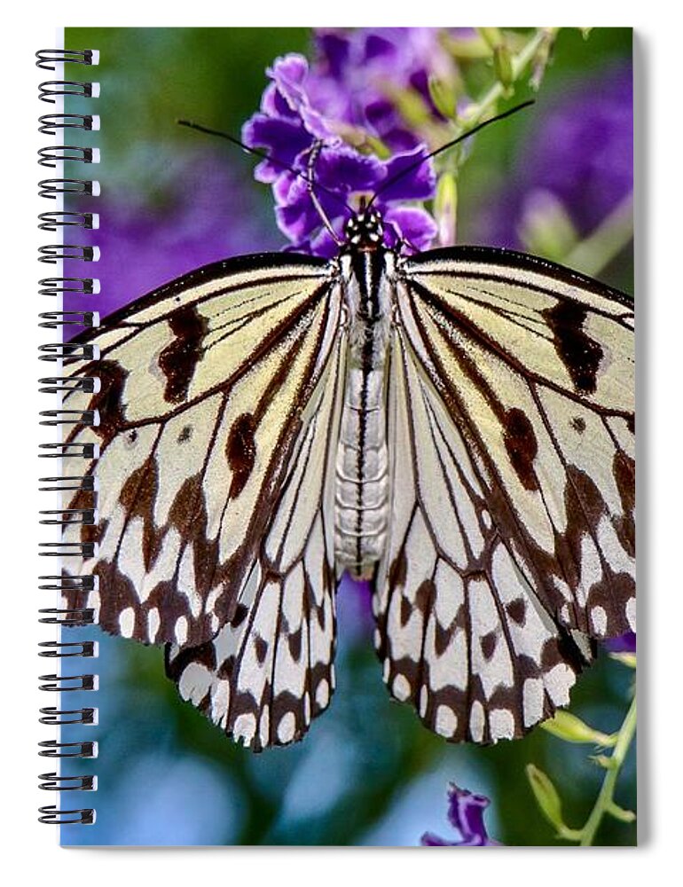 Closeup Spiral Notebook featuring the photograph Black and White Paper Kite Butterfly by Susan Rydberg