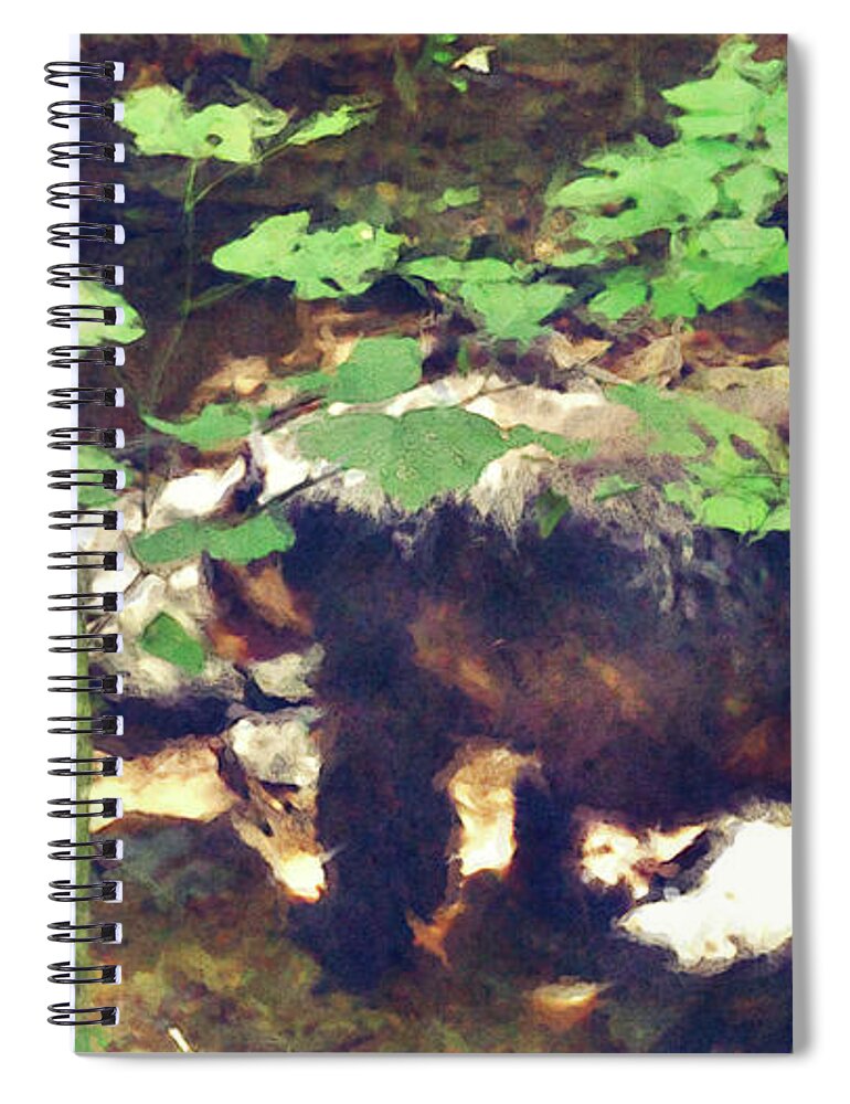 Bear Spiral Notebook featuring the digital art Black Bear In Woods by Phil Perkins