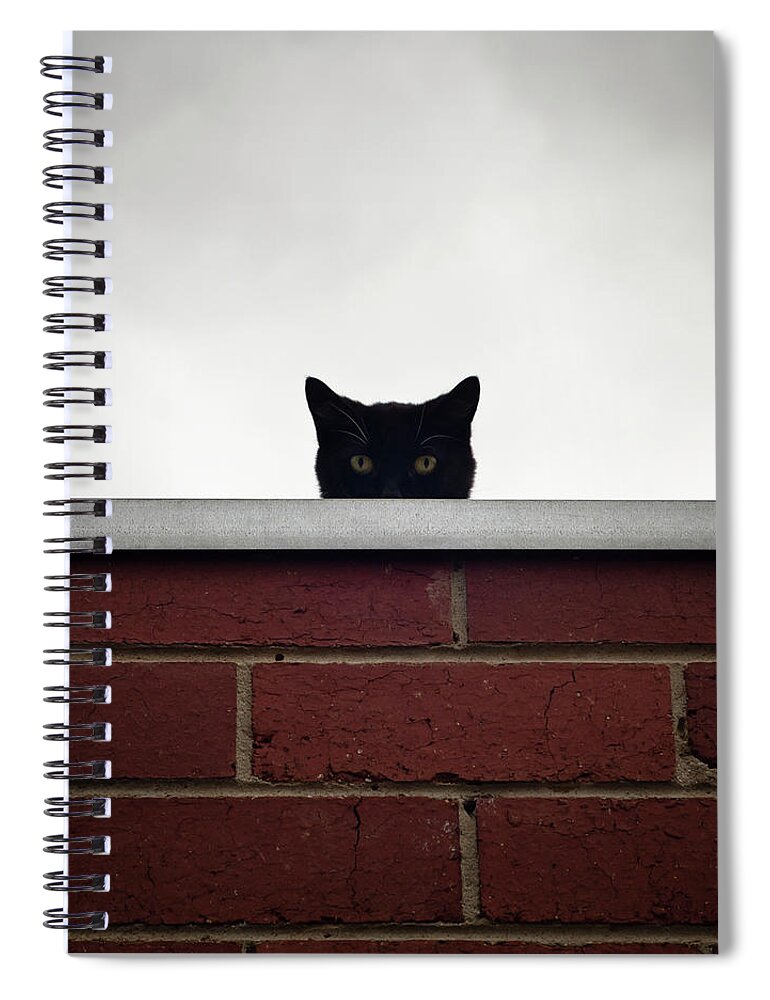 Alertness Spiral Notebook featuring the photograph Black Cat Peeking Over Wall by John Abbate