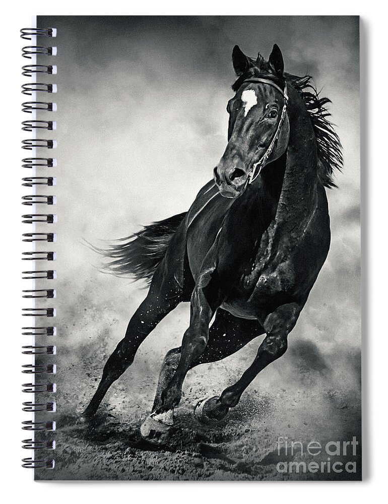 Horse Spiral Notebook featuring the photograph Black Horse Running Wild Black and White by Dimitar Hristov