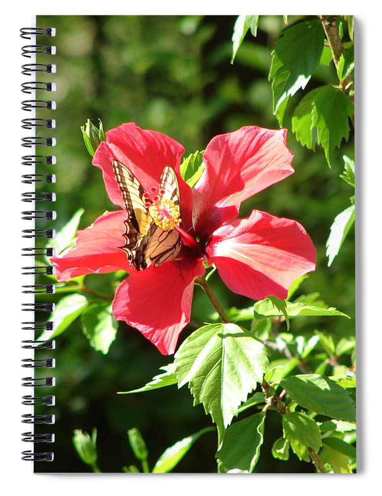Flower Bloom Hibiscus Monarch Butterfly Spiral Notebook featuring the photograph Bloom Bloom 4 by Lee Antle