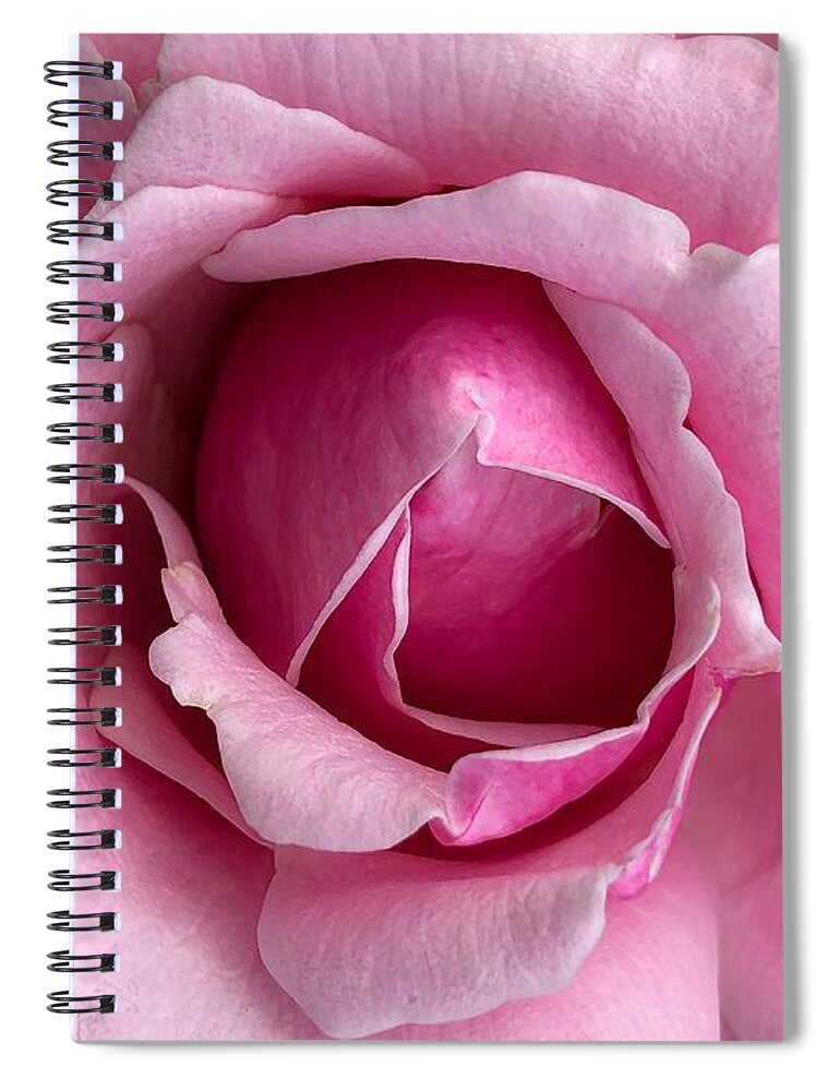 Flower Spiral Notebook featuring the photograph Blooming in Pink by Anamar Pictures