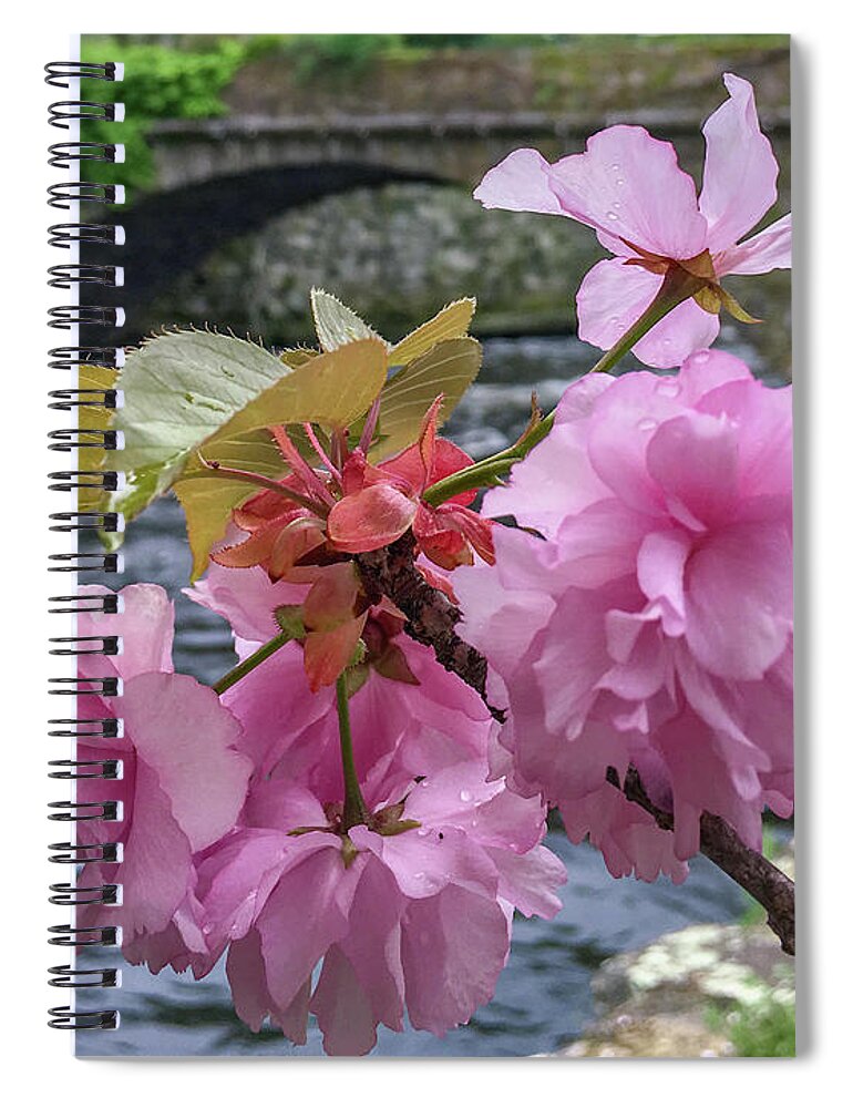 Willimantic Spiral Notebook featuring the photograph Beautiful Blossom by Veterans Aerial Media LLC