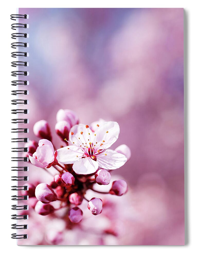 Scenics Spiral Notebook featuring the photograph Blossom by Cactusoup