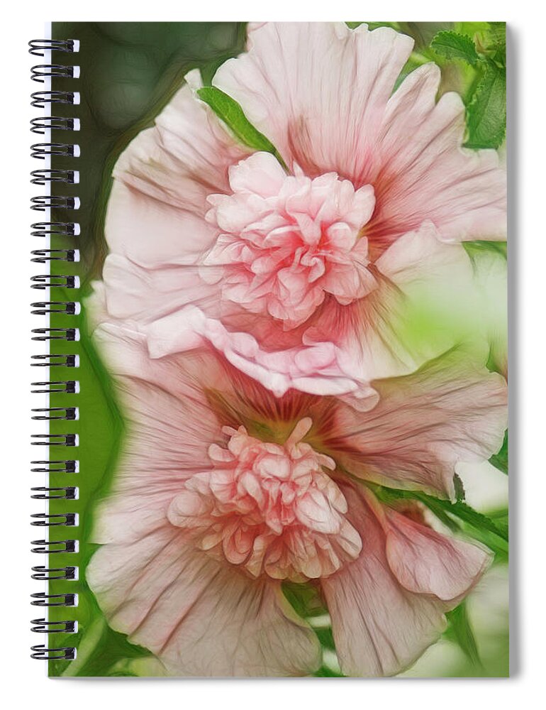 Rockville Spiral Notebook featuring the photograph Blossoming Hollyhock Flowers In A by Maria Mosolova