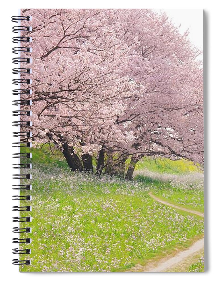 Outdoors Spiral Notebook featuring the photograph Blossoming Yoshino Cherry Trees In A by Photolife/amanaimagesrf