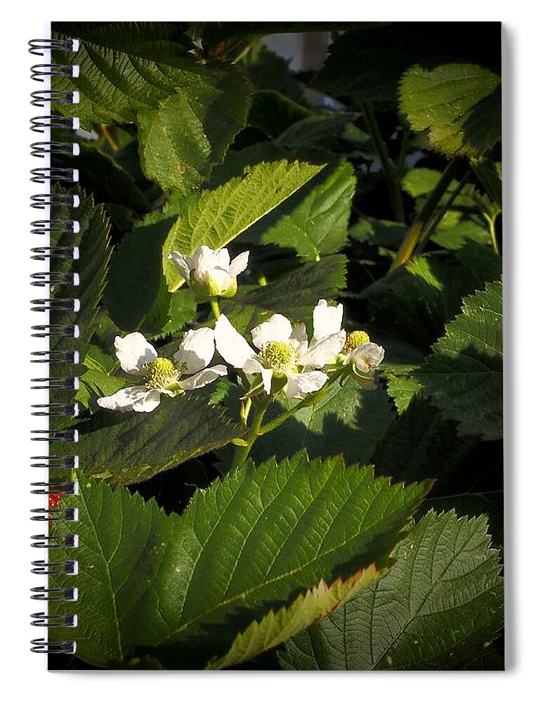 Botanical Spiral Notebook featuring the photograph Blossoms White Red Berry by Richard Thomas