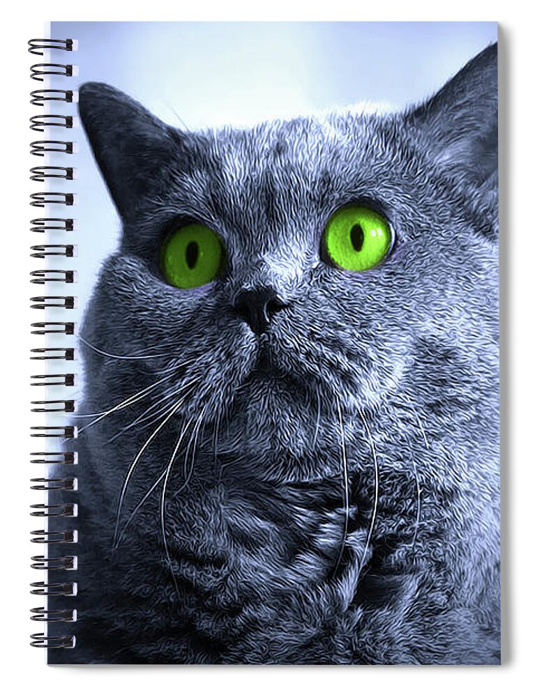 Cat Spiral Notebook featuring the digital art Blue and the Butterfly by Doreen Erhardt