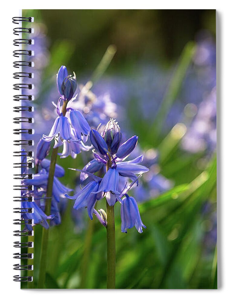 Grass Spiral Notebook featuring the photograph Blue Bell by Kathy Strauss