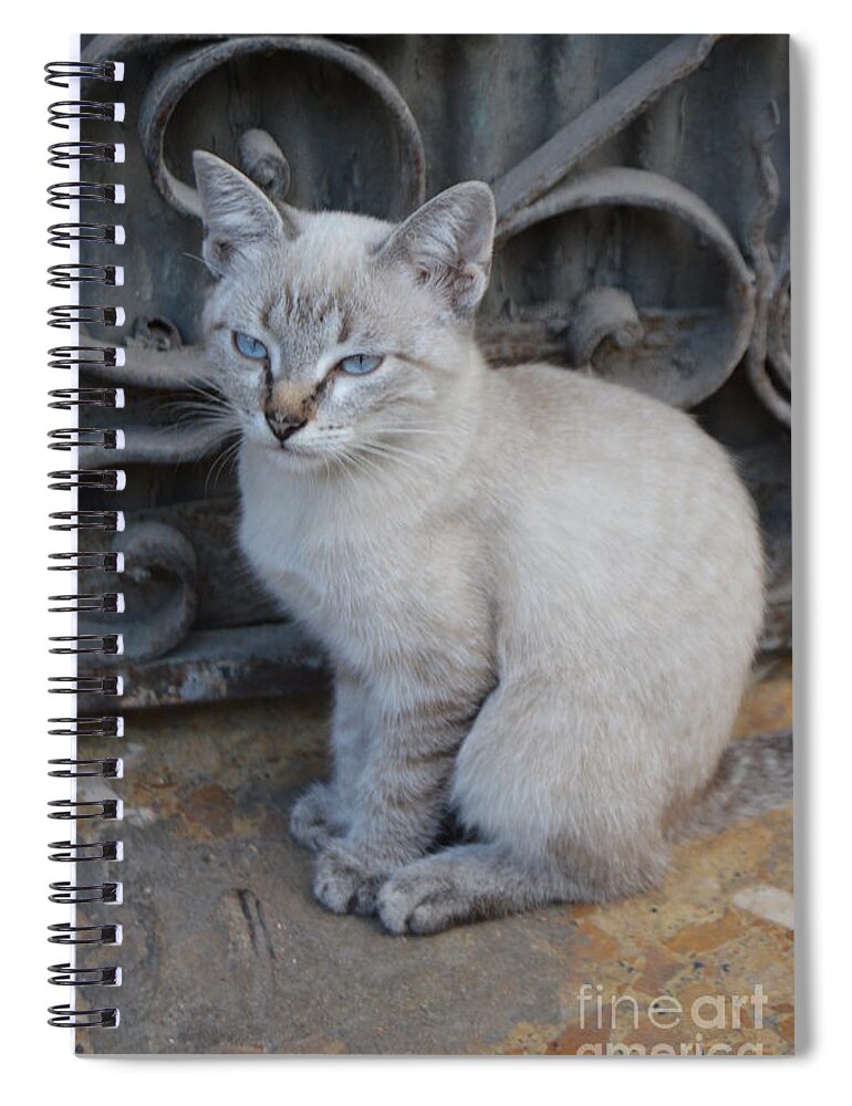 Cat Spiral Notebook featuring the photograph Blue Eyed by Thomas Schroeder