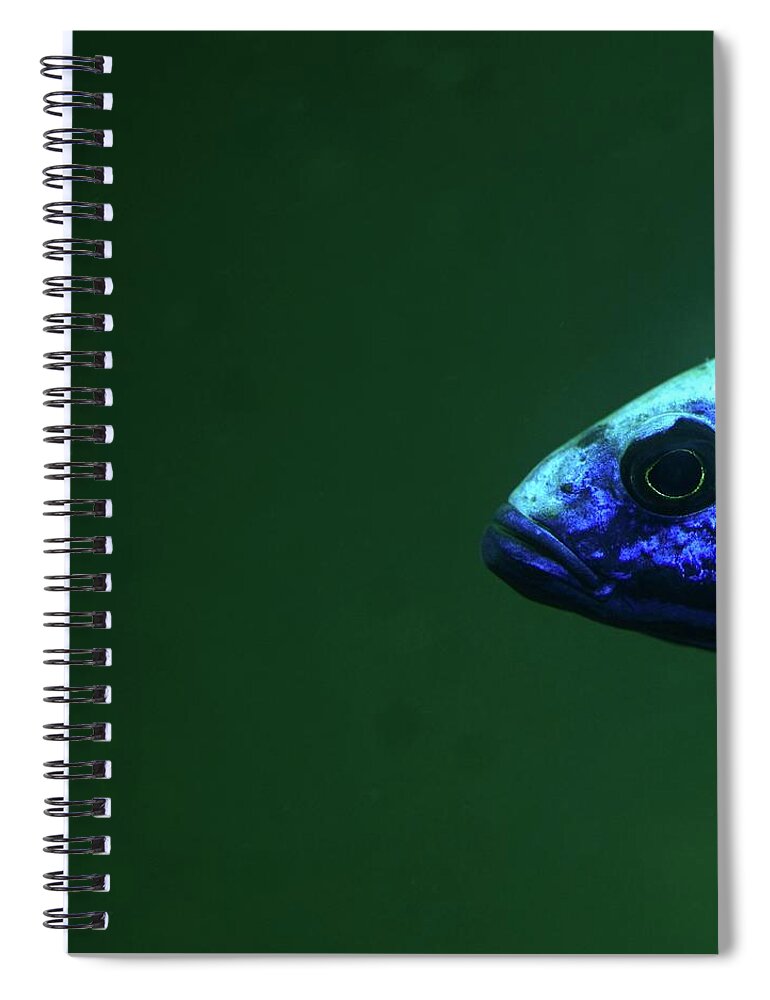 Animal Themes Spiral Notebook featuring the photograph Blue Fish by D. Sharon Pruitt Pink Sherbet Photography