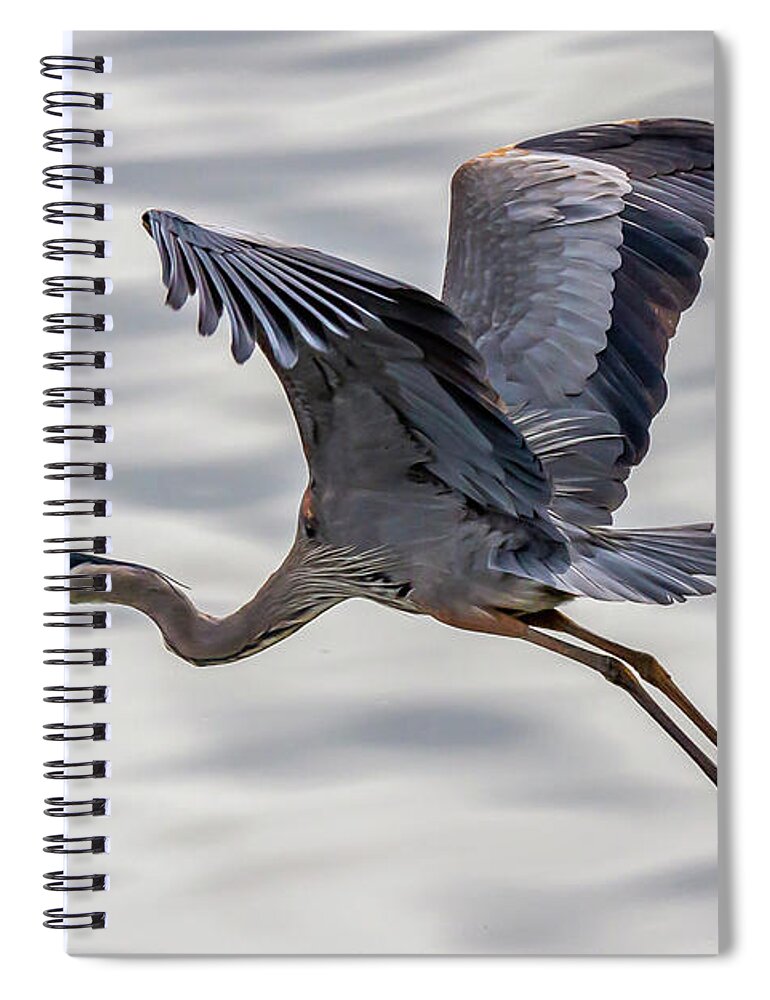 Grand Lake Spiral Notebook featuring the photograph Blue Heron 20190412-0187 by David Wagenblatt