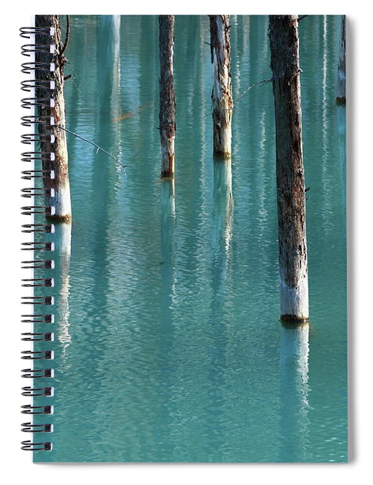 Tranquility Spiral Notebook featuring the photograph Blue Pond by Tsuntsun