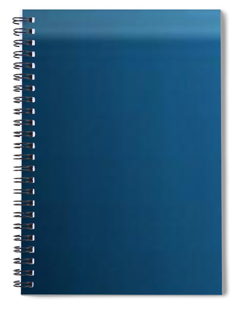 Oil Spiral Notebook featuring the painting Blue Totem by Matteo TOTARO