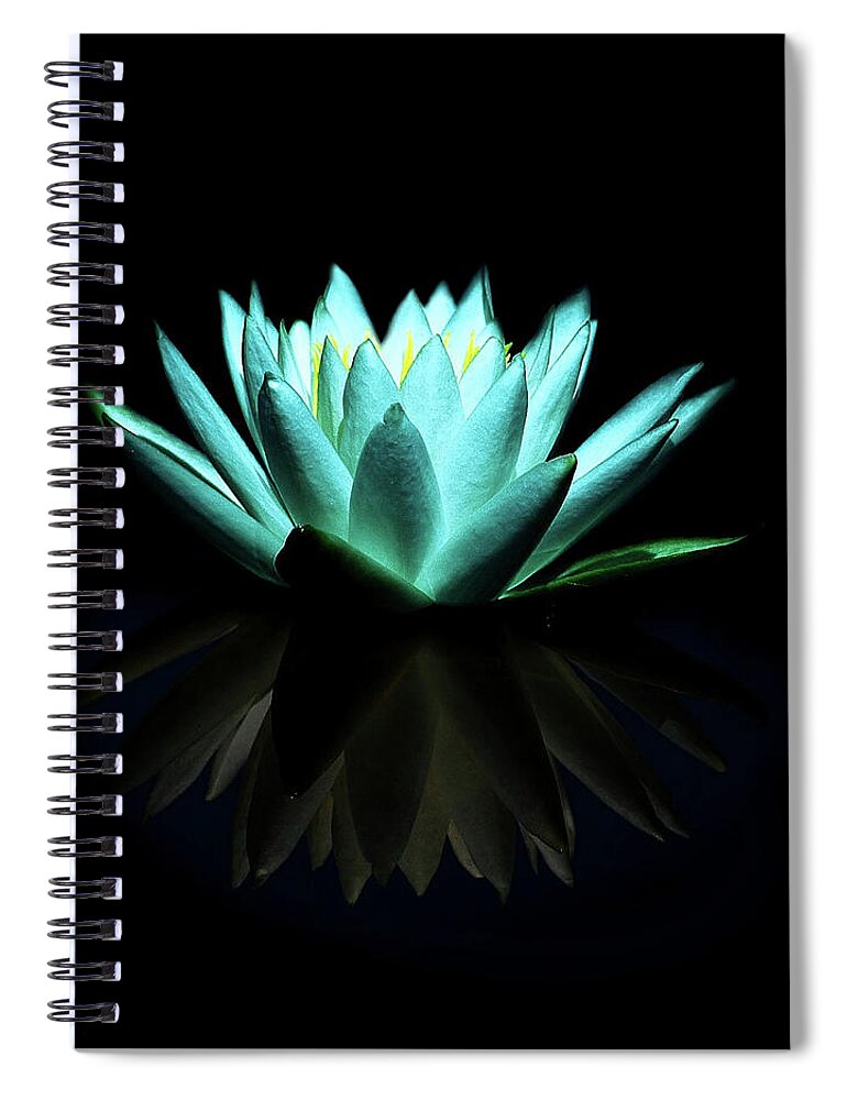 Black Background Spiral Notebook featuring the photograph Blue Water Lily by The Photography Factory