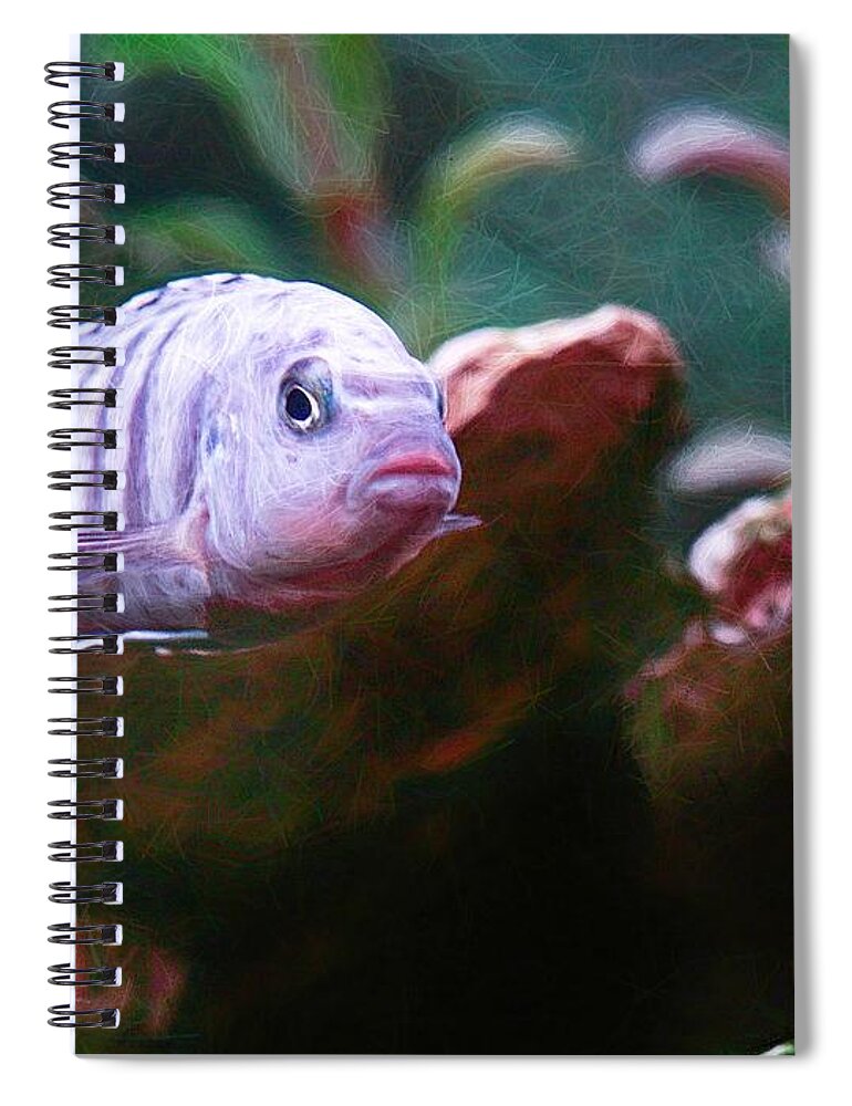 African Cichlid Spiral Notebook featuring the digital art Blue Zebra Above Cave Impressionism by Don Northup