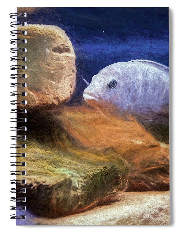 African Cichlid Spiral Notebook featuring the digital art Blue Zebra Painted by Don Northup