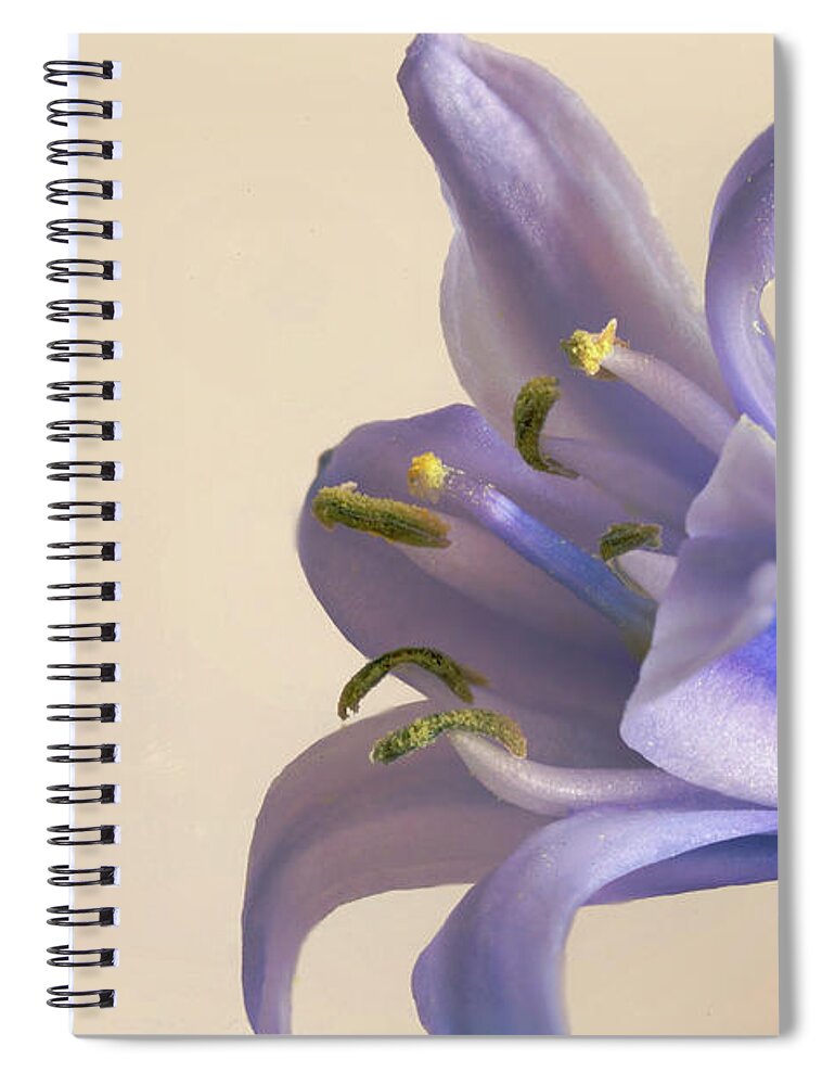 Bluebell Spiral Notebook featuring the photograph Bluebell flower by Paul Cowan