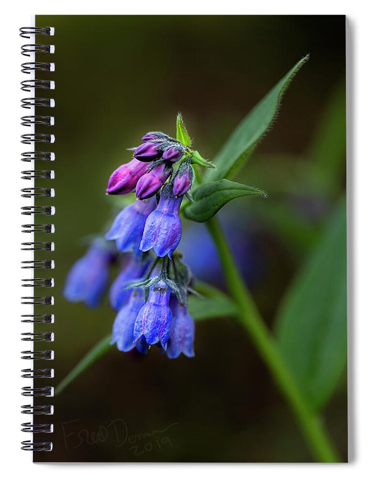 Wildflower Spiral Notebook featuring the photograph Bluebells 2019 by Fred Denner