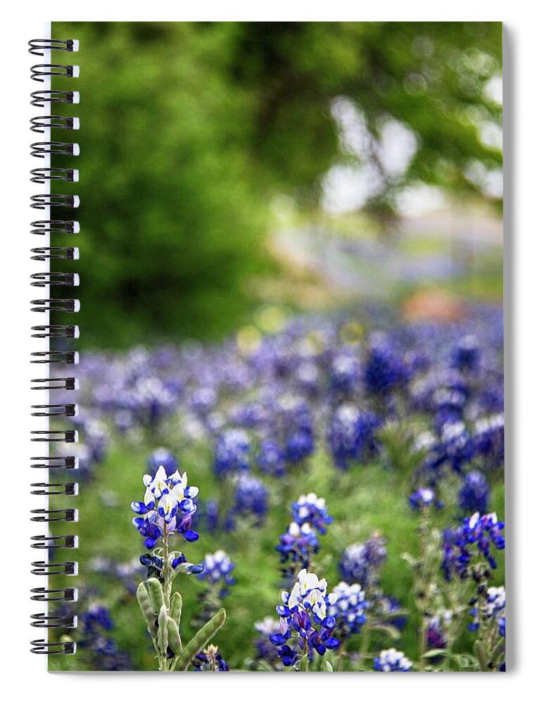  Spiral Notebook featuring the photograph Bluebonnets 1 by See It In Texas