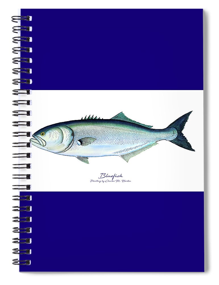 Charles Harden Spiral Notebook featuring the painting Bluefish by Charles Harden