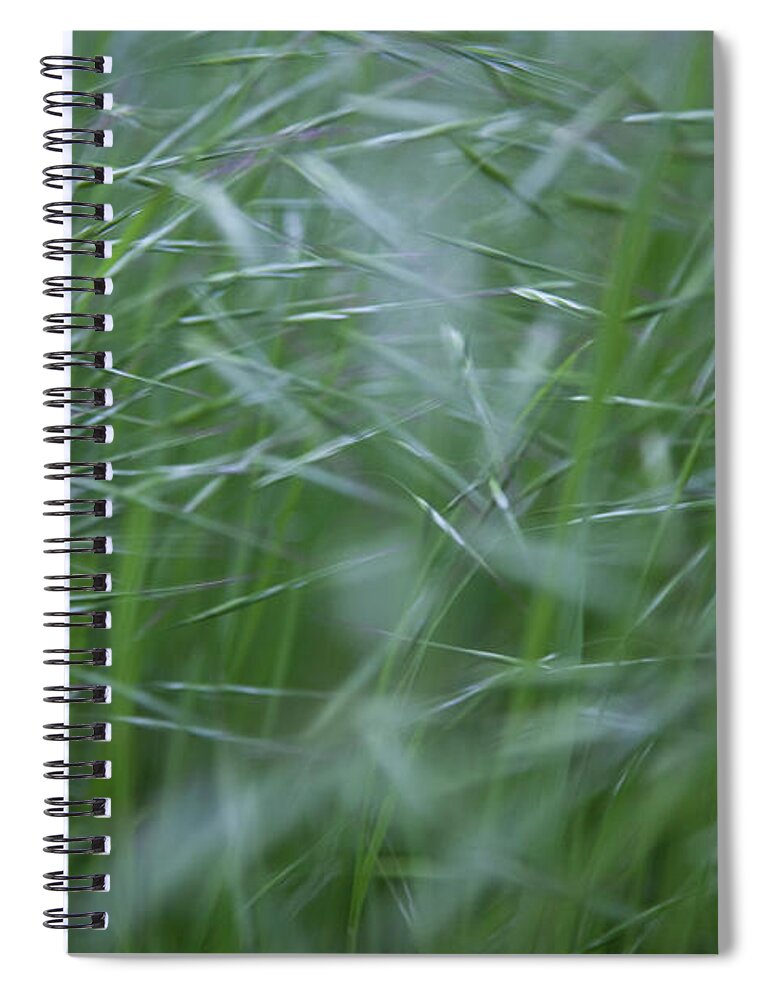 Abstract Spiral Notebook featuring the photograph Blurry Wheat by Maria Heyens