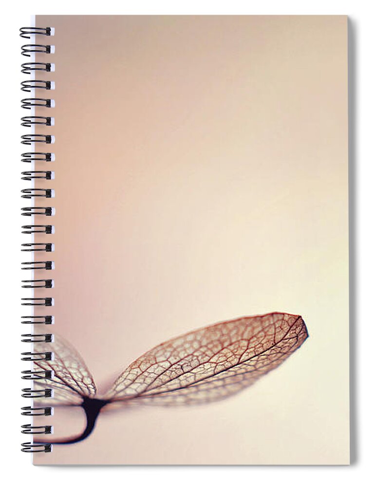 Hydrangea Spiral Notebook featuring the photograph Blushing by Michelle Wermuth