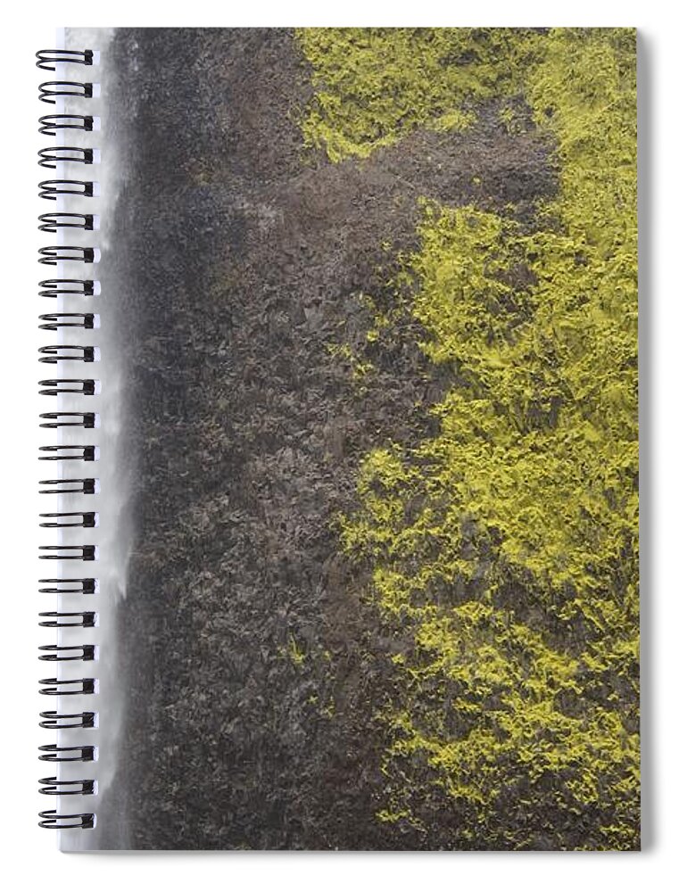 Bold Latourell Spiral Notebook featuring the photograph Bold Latourell by Dylan Punke