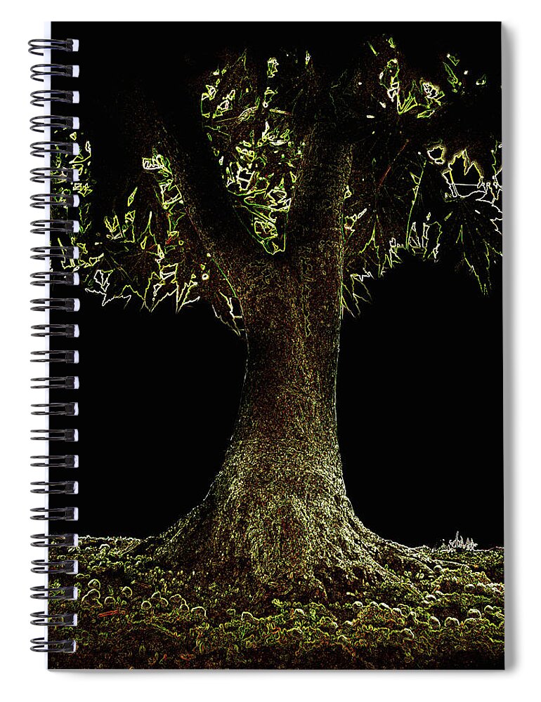 Outdoors Spiral Notebook featuring the photograph Bonsai Tree With Moss At Night by Michael Duva