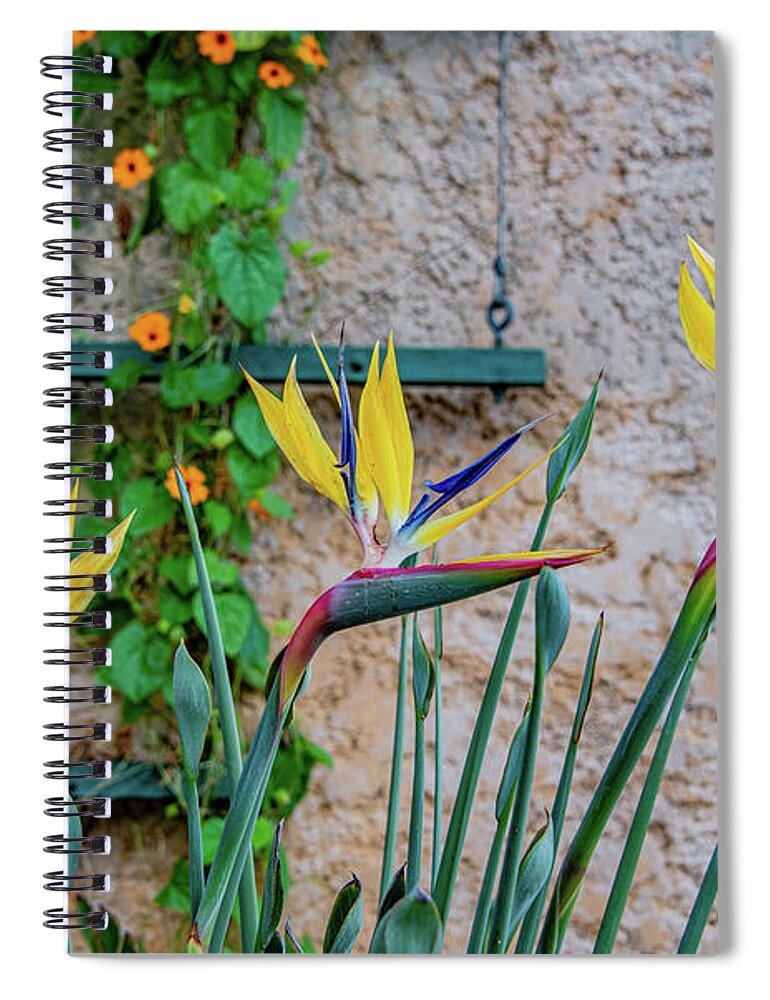 Bird Of Paradise Spiral Notebook featuring the photograph Botanical Art by Marcy Wielfaert