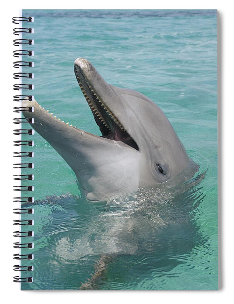 Clear Sky Spiral Notebook featuring the photograph Bottlenose Dolphin by Martin Ruegner