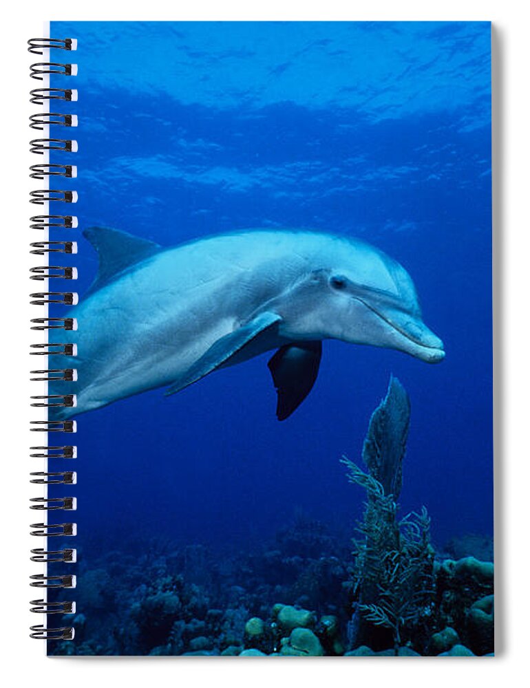 Underwater Spiral Notebook featuring the photograph Bottlenose Dolphin,tursiops by Gerard Soury