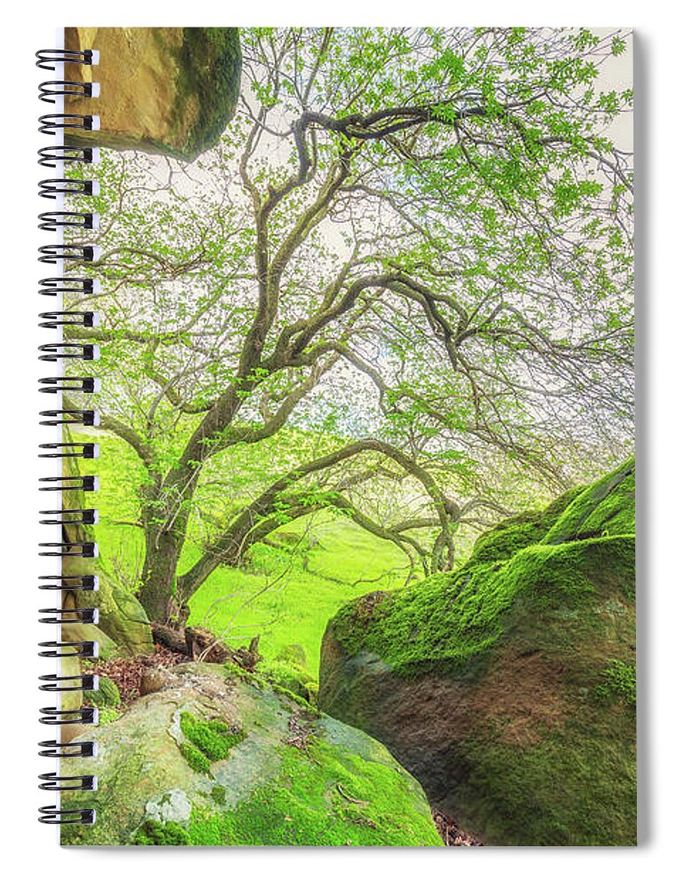 Landscape Spiral Notebook featuring the photograph Boulders and Trees at Vasco Caves by Marc Crumpler