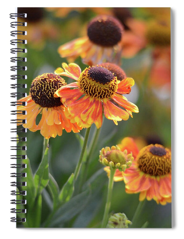 Bouquet Spiral Notebook featuring the photograph Bouquet of Coneflowers by Whispering Peaks Photography