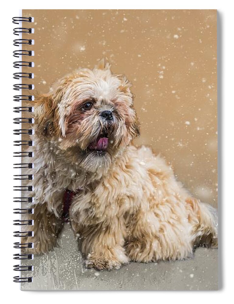 Bowie Spiral Notebook featuring the mixed media Bowie's First Snow by Eva Lechner
